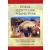 Etikák, identitások, perspektívák