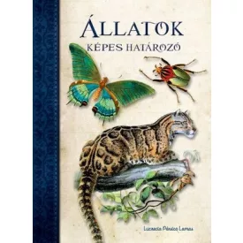 Állatok