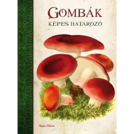 Gombák