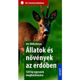 Állatok és növények az erdőben