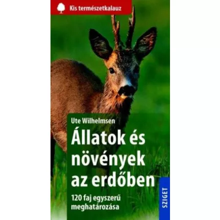 Állatok és növények az erdőben