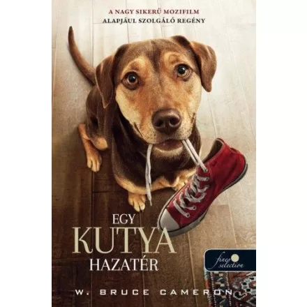 Egy kutya hazatér