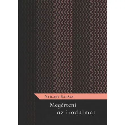 Megérteni az irodalmat