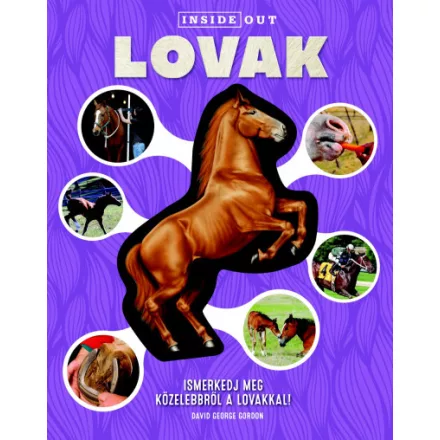 Lovak - Ismerkedj meg közelebbről a lovakkal!