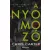 A nyomozó