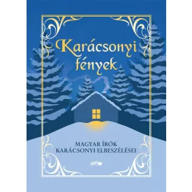 Karácsonyi fények
