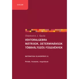   Vektoralgebra, mátrixok, determinánsok, többváltozós függvények