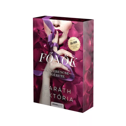 A szerencse ígérete - A főnök 3. - Éldekorált kiadás