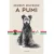 A pumi