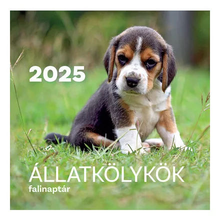Állatkölykök
 falinaptár - 2025
