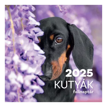 Kutyák falinaptár - 2025