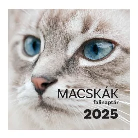 Macskák falinaptár - 2025