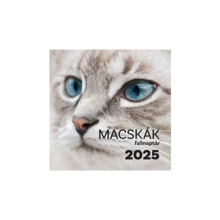 Macskák falinaptár - 2025