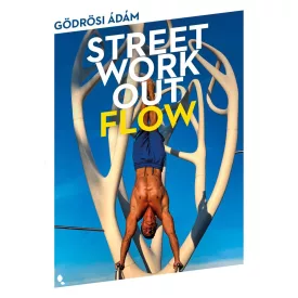 Street workout flow