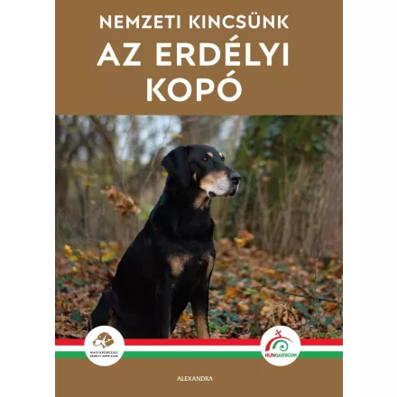 Az erdélyi kopó