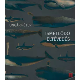 Ismétlődő eltévedés