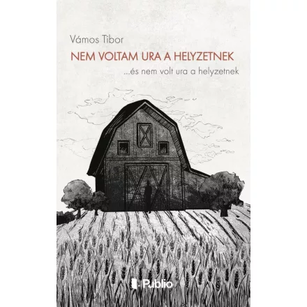 Nem voltam ura a helyzetnek