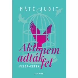 Akik nem adták fel - Példa-képek