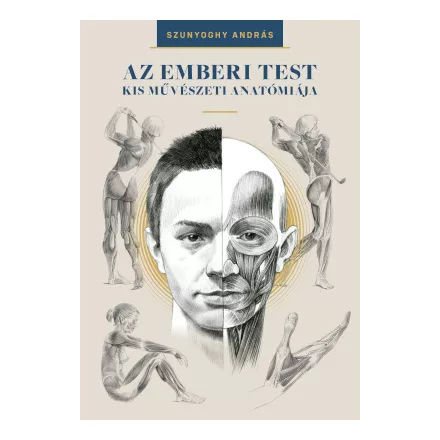 Az emberi test kis művészeti anatómiája