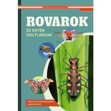 Rovarok és egyéb ízeltlábúak - Képes ismeretterjesztés gyerekeknek - Fedezzük fel együtt!