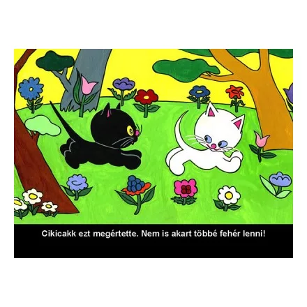 Cikicakk, a fekete cica - Diafilm