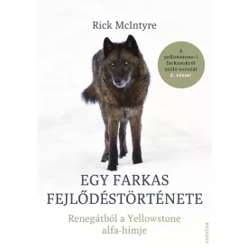 Egy farkas fejlődéstörténete