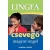 Magyar-angol csevegő