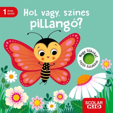 Hol vagy, színes pillangó?