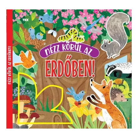 Nézz körül az erdőben!