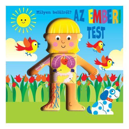 Milyen belülről - Az emberi test