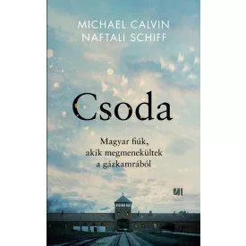 Csoda