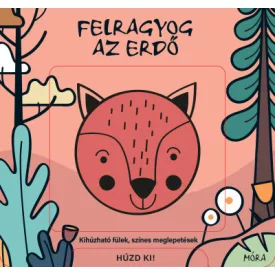 Felragyog az erdő