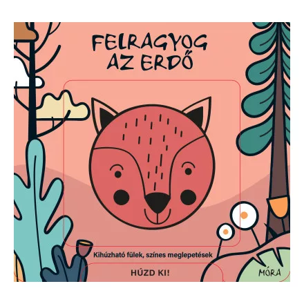 Felragyog az erdő