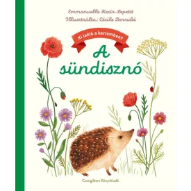 A sündisznó