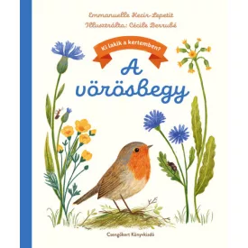 A vörösbegy