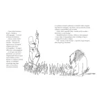 Lafkádió, az oroszlán aki visszalőtt (illusztrált gyerekkönyv)