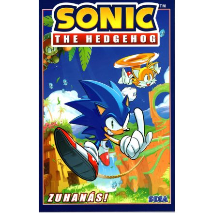 Sonic 1.kötet - Zuhanás