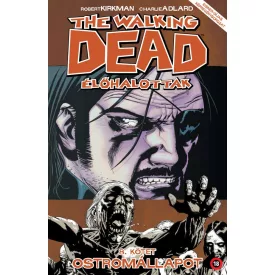 The Walkig Dead 8 - Ostromállapot