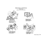 Jeney Jenő - Élcek és tréfák