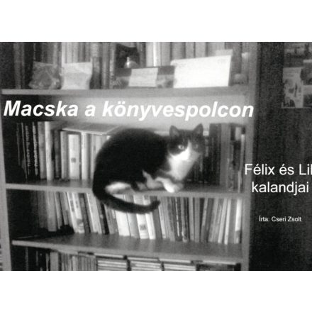 Macska a könyvespolcon