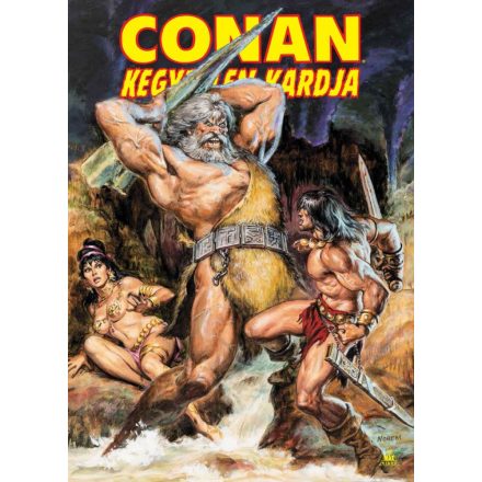 Conan kegyetlen kardja 4.kötet