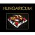 Hungaricum