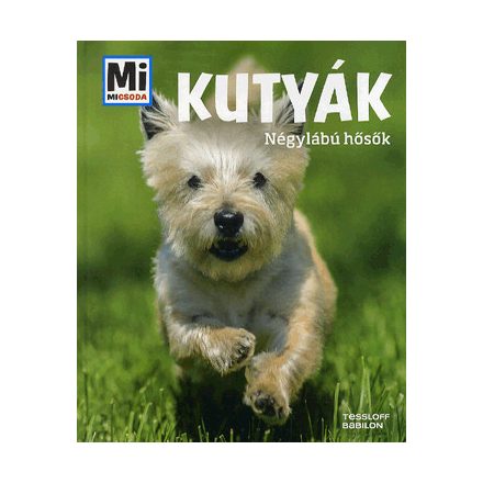 Kutyák