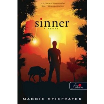 Sinner - A bűnös (puha táblás)