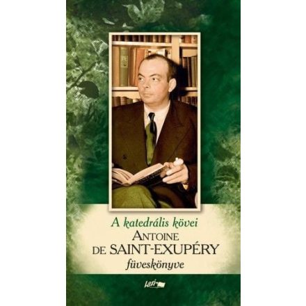 A katedrális kövei - Saint-Exupéry füveskönyve (2019)