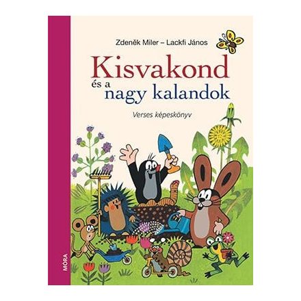 Kisvakond és nagy kalandok