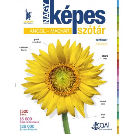 Nagy képes szótár angol–magyar