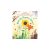 First Questions and Answers How Do Flowers Grow?
