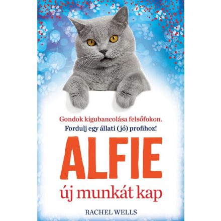 Alfie új munkát kap – Tanulj önismeretet egy bölcs cicától!
