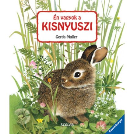 Én vagyok a kisnyuszi